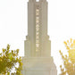 Redlands Temple Heavenly Glow