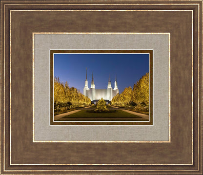 Washington DC Golden Christmas