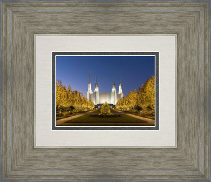 Washington DC Golden Christmas