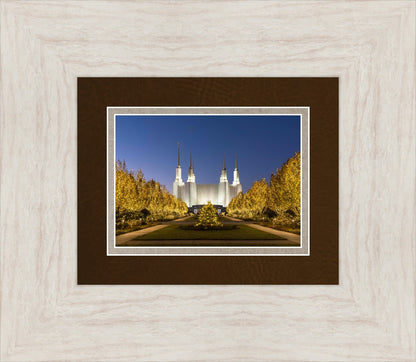 Washington DC Golden Christmas