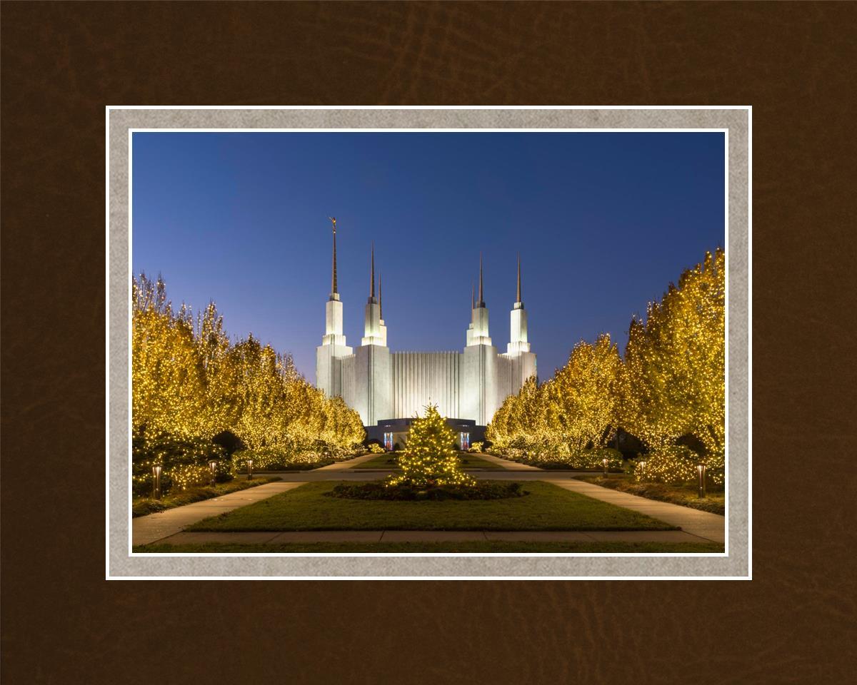 Washington DC Golden Christmas