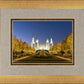 Washington DC Golden Christmas
