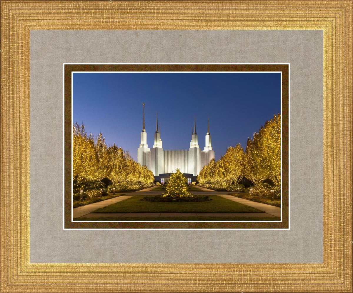 Washington DC Golden Christmas