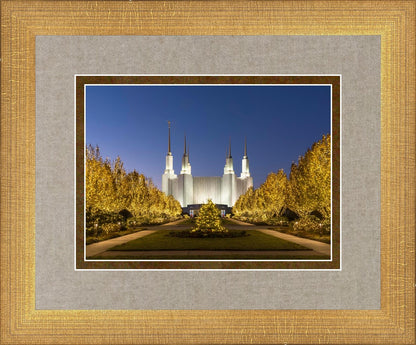 Washington DC Golden Christmas