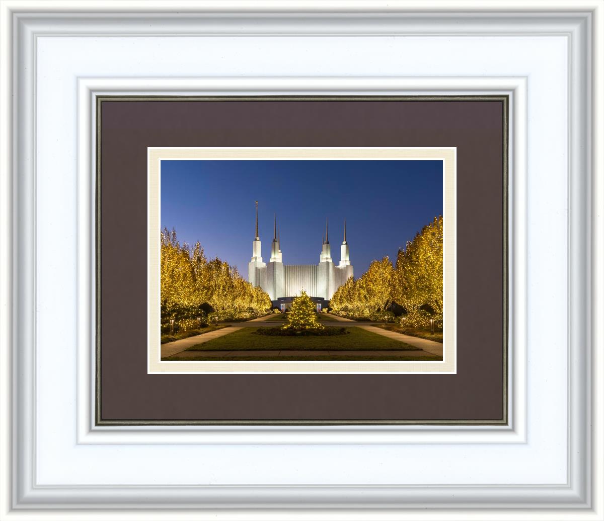 Washington DC Golden Christmas