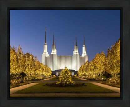 Washington DC Golden Christmas