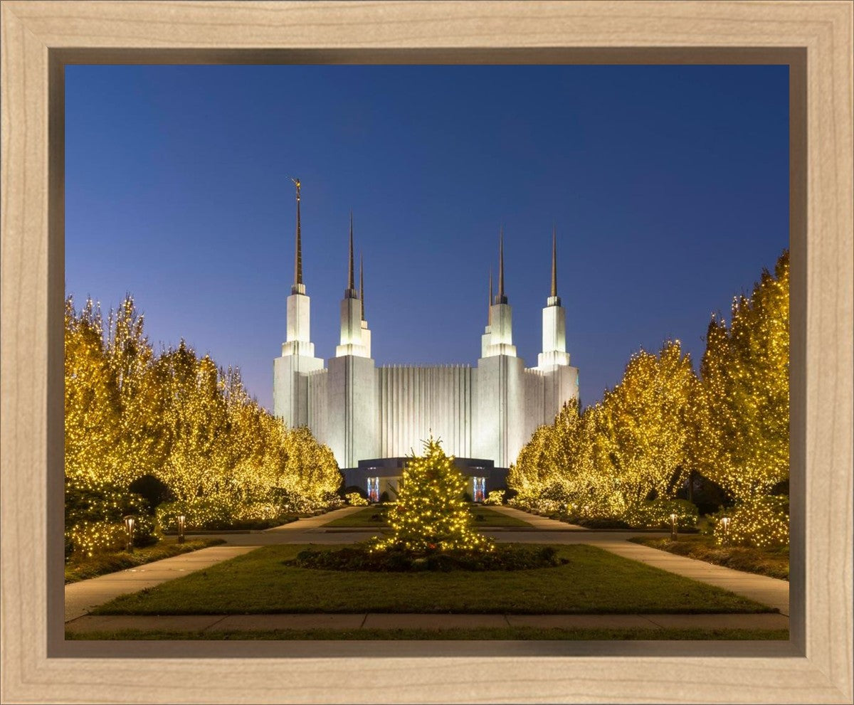 Washington DC Golden Christmas Gallery Wrap