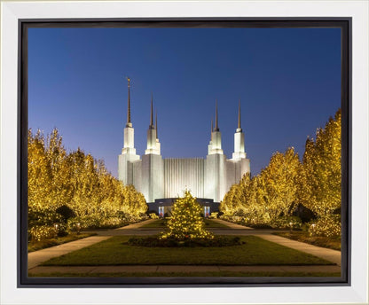 Washington DC Golden Christmas