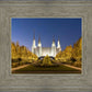 Washington DC Golden Christmas