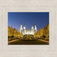 Washington DC Golden Christmas
