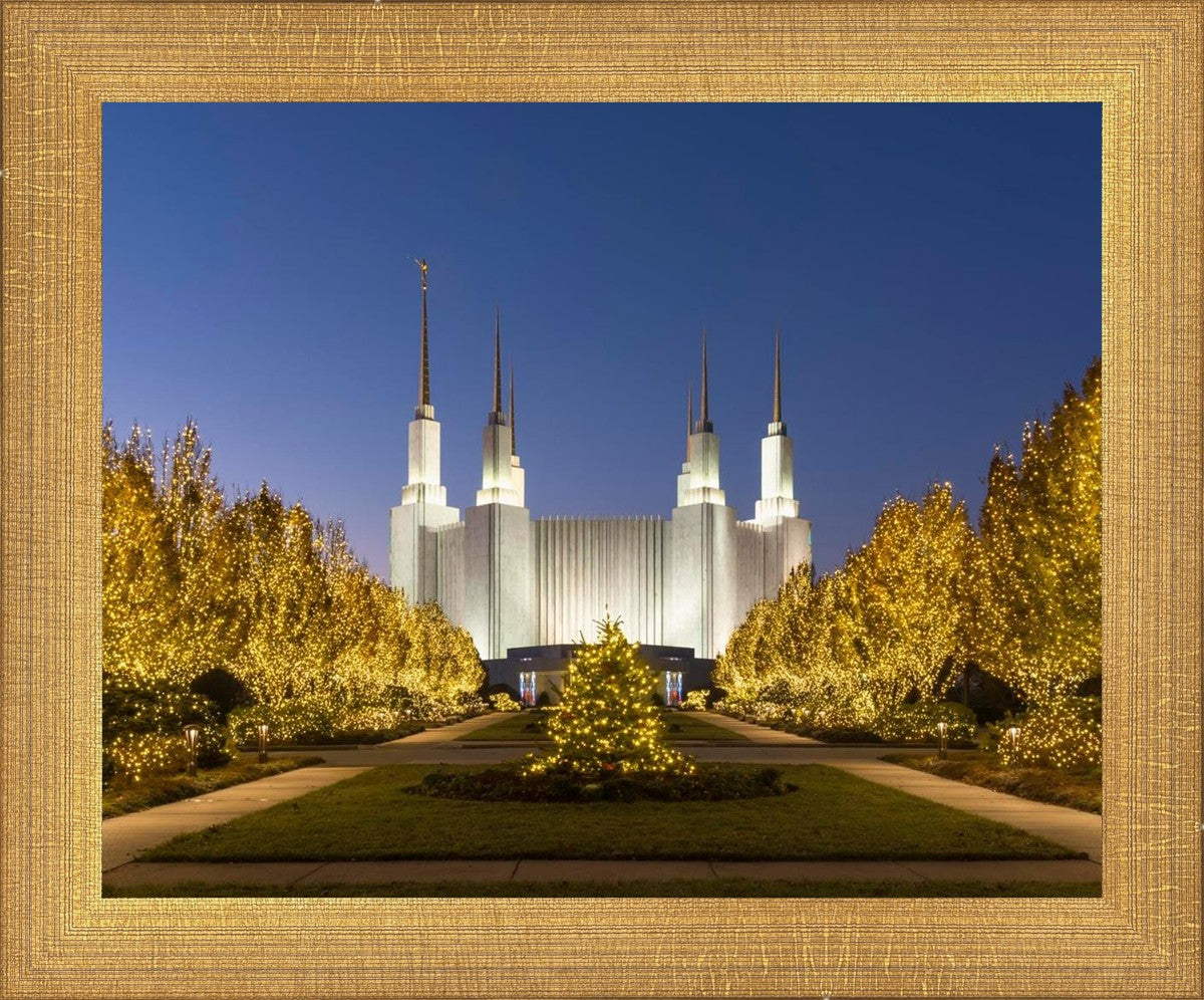 Washington DC Golden Christmas