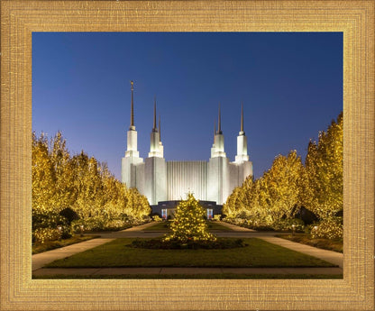 Washington DC Golden Christmas