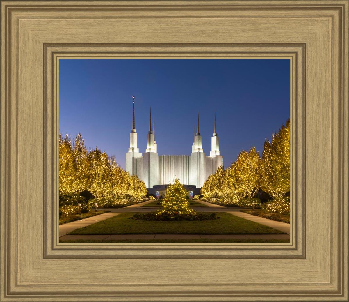 Washington DC Golden Christmas