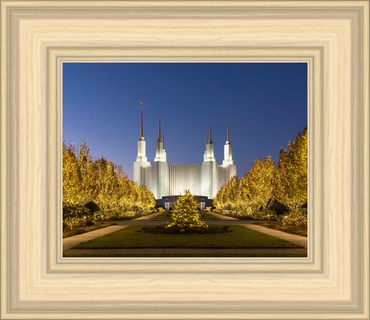 Washington DC Golden Christmas