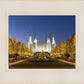 Washington DC Golden Christmas