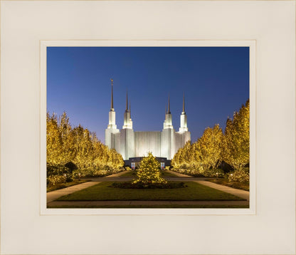 Washington DC Golden Christmas