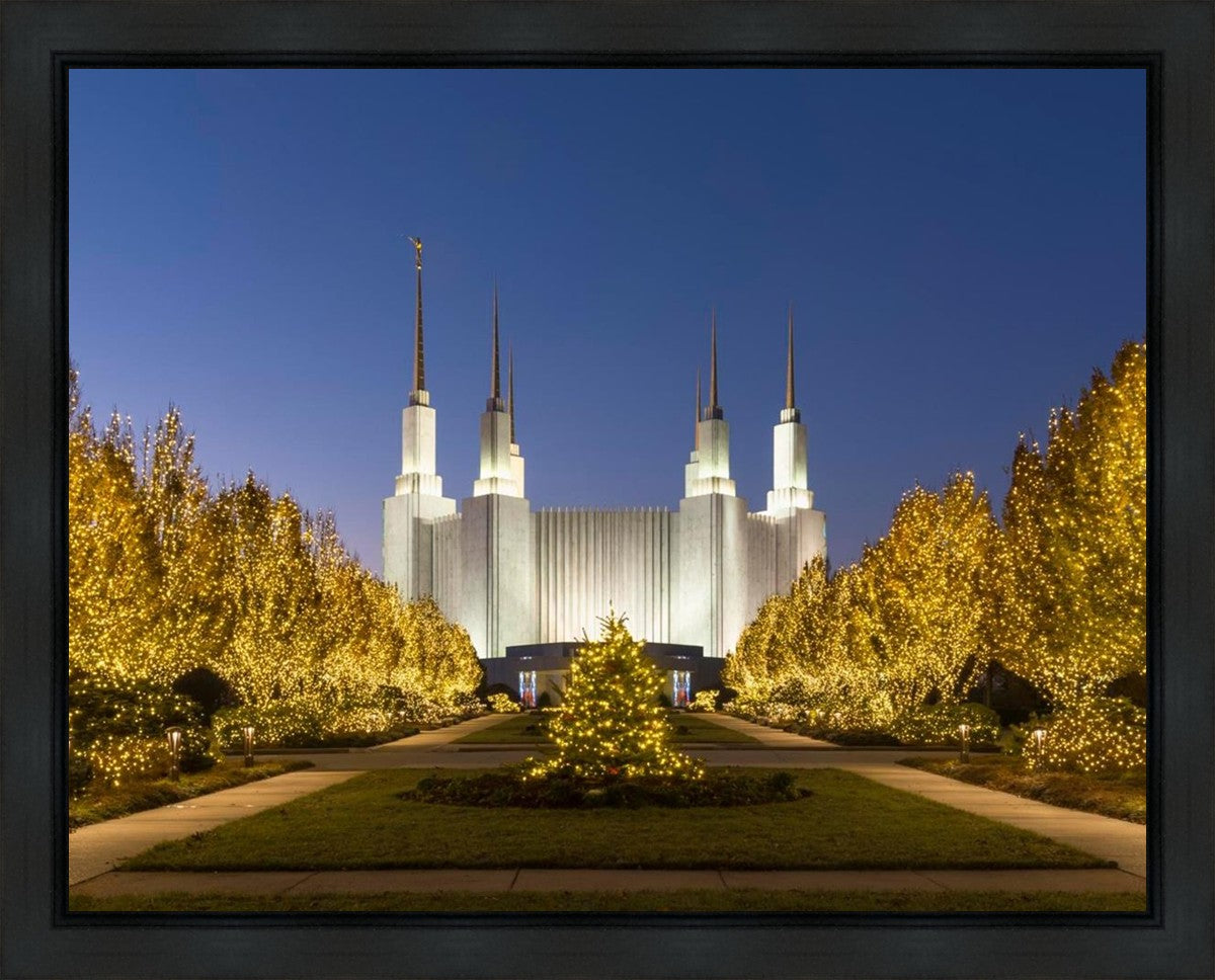 Washington DC Golden Christmas Gallery Wrap