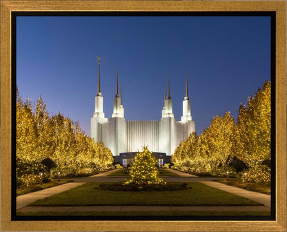 Washington DC Golden Christmas