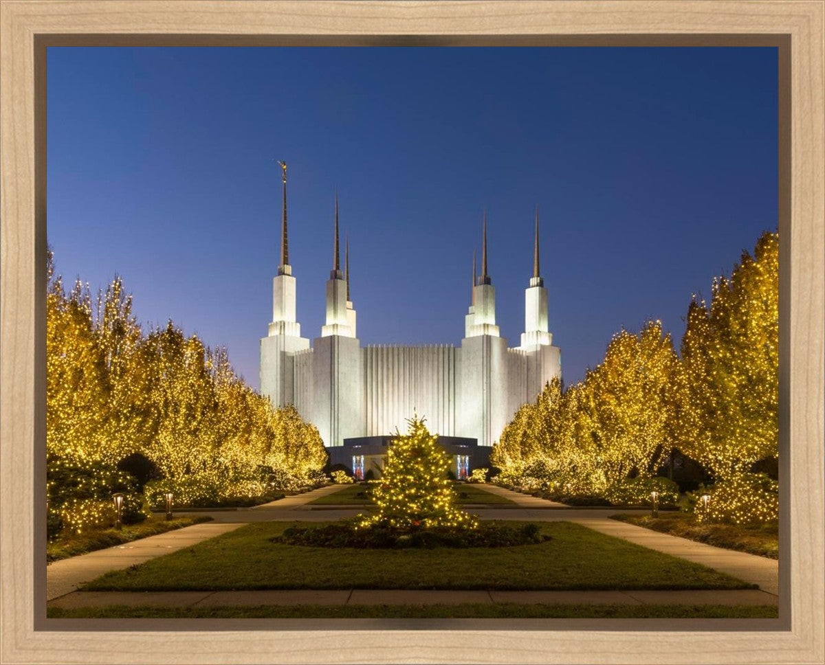 Washington DC Golden Christmas Gallery Wrap