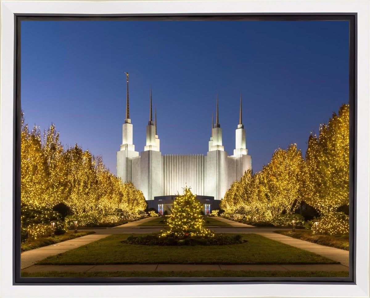 Washington DC Golden Christmas Gallery Wrap