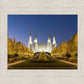 Washington DC Golden Christmas