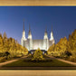 Washington DC Golden Christmas
