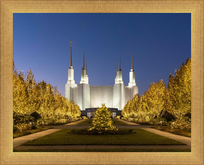 Washington DC Golden Christmas