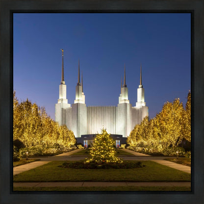 Washington DC Golden Christmas