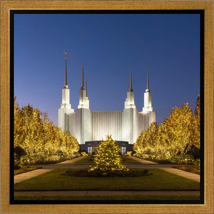 Washington DC Golden Christmas