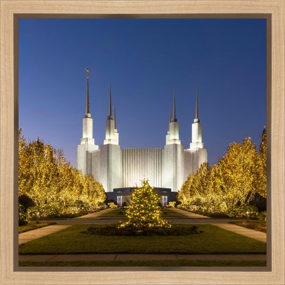 Washington DC Golden Christmas