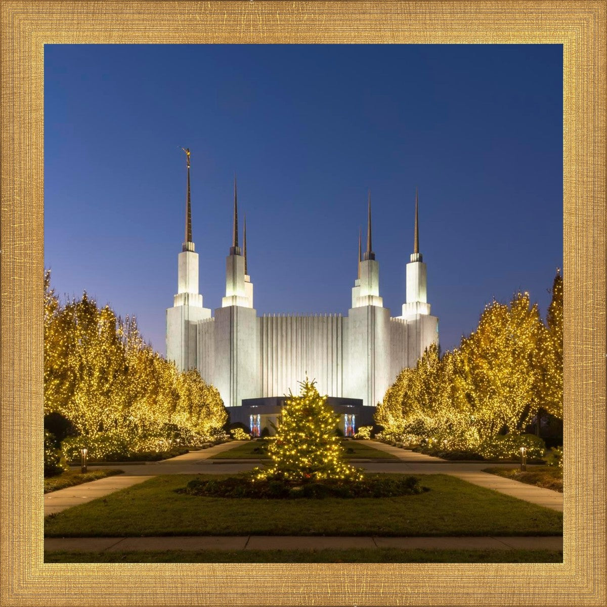 Washington DC Golden Christmas