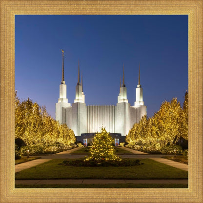 Washington DC Golden Christmas