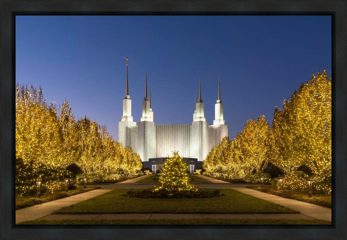 Washington DC Golden Christmas Gallery Wrap