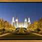 Washington DC Golden Christmas