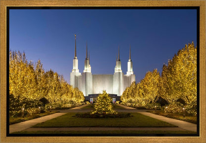 Washington DC Golden Christmas