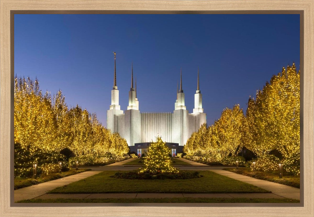 Washington DC Golden Christmas Gallery Wrap