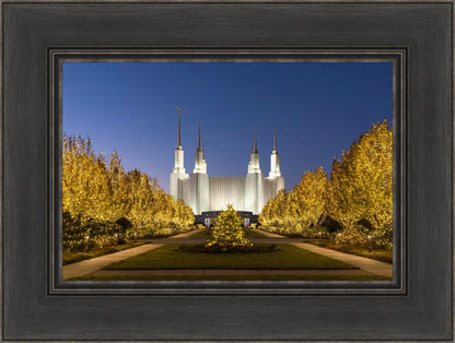 Washington DC Golden Christmas