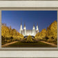 Washington DC Golden Christmas