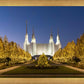 Washington DC Golden Christmas