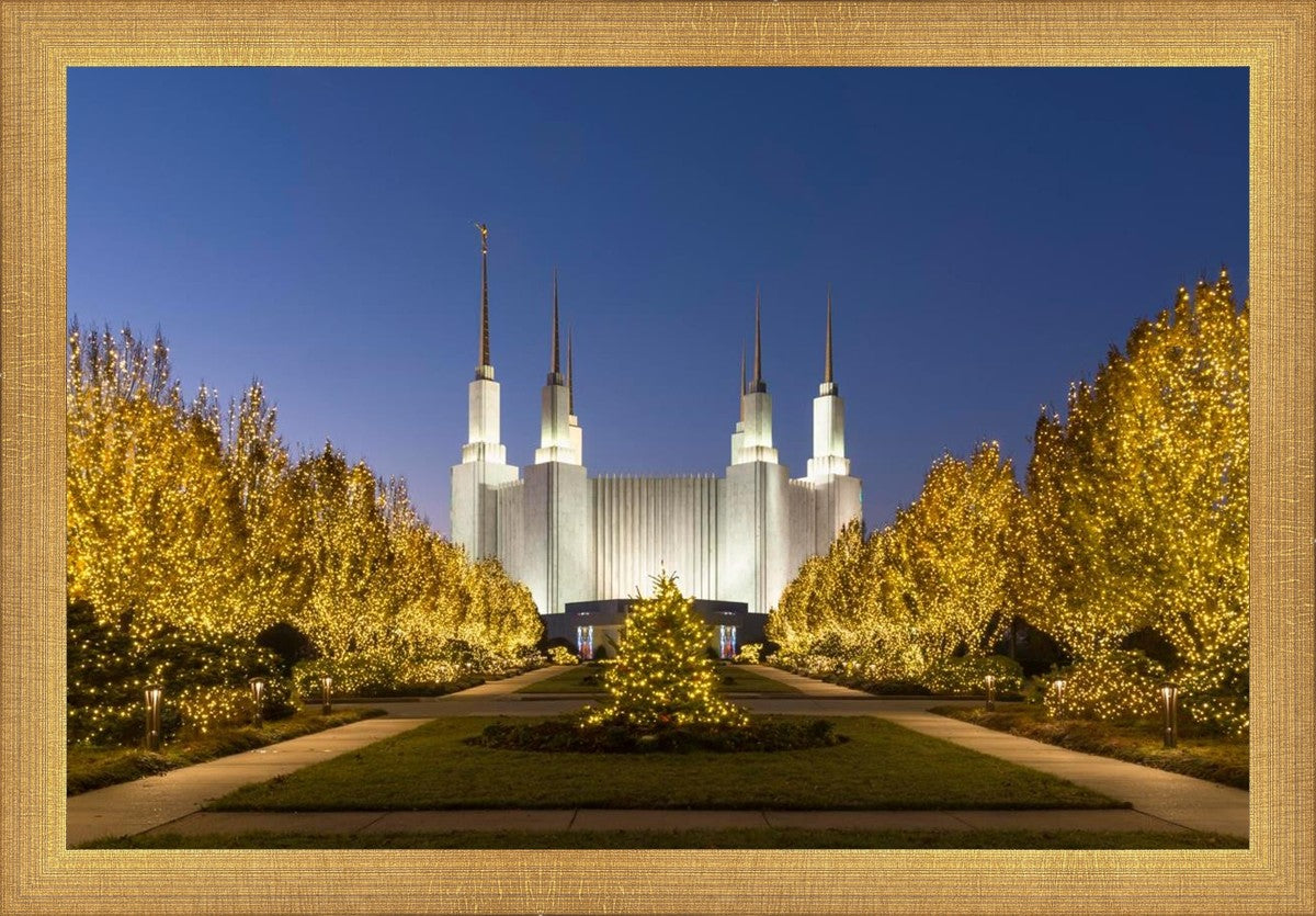 Washington DC Golden Christmas