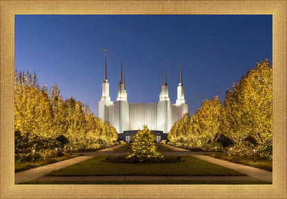 Washington DC Golden Christmas