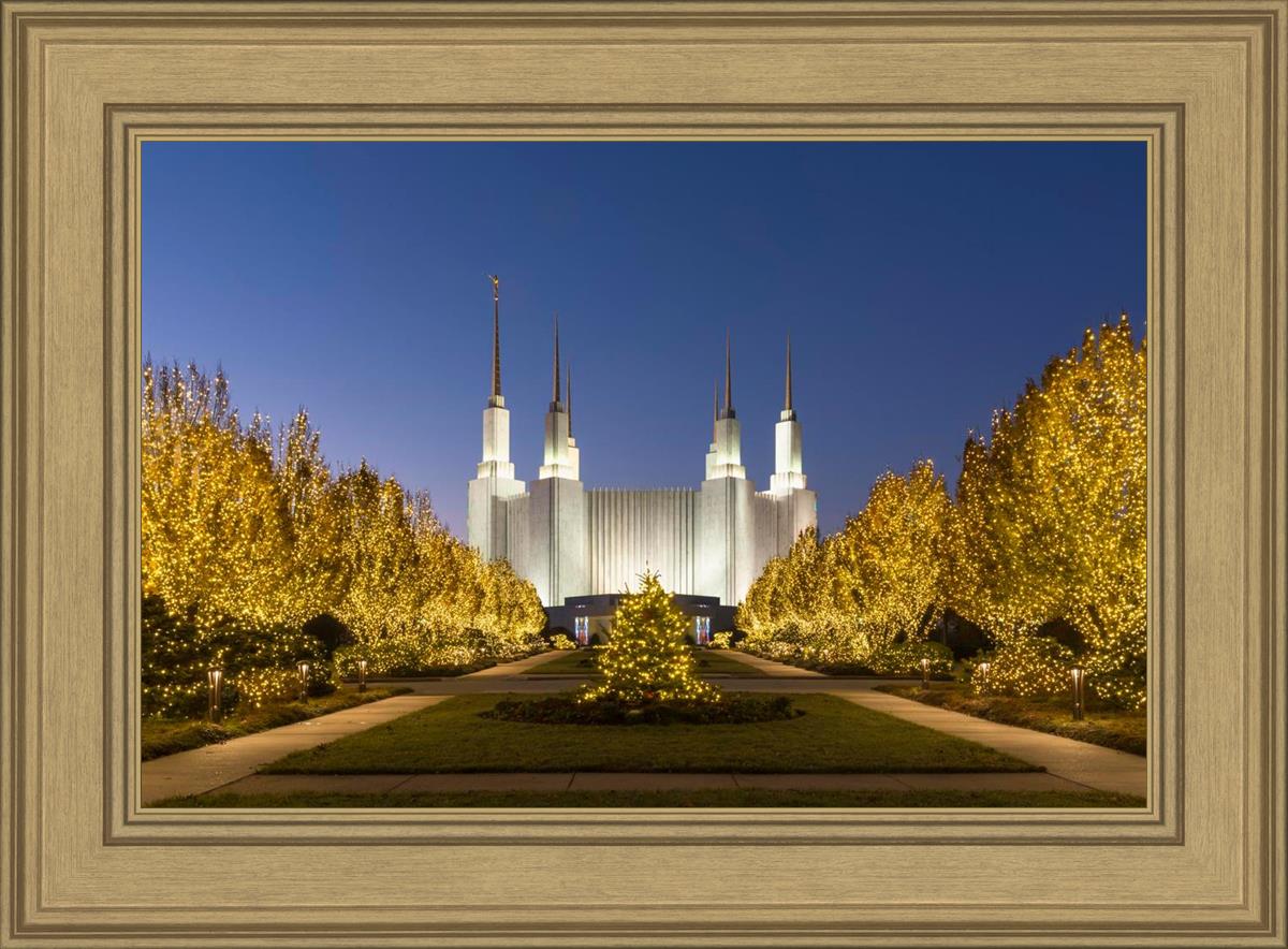 Washington DC Golden Christmas