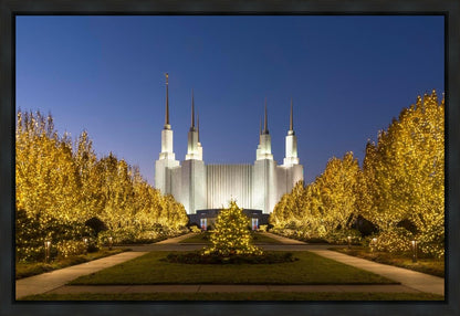 Washington DC Golden Christmas