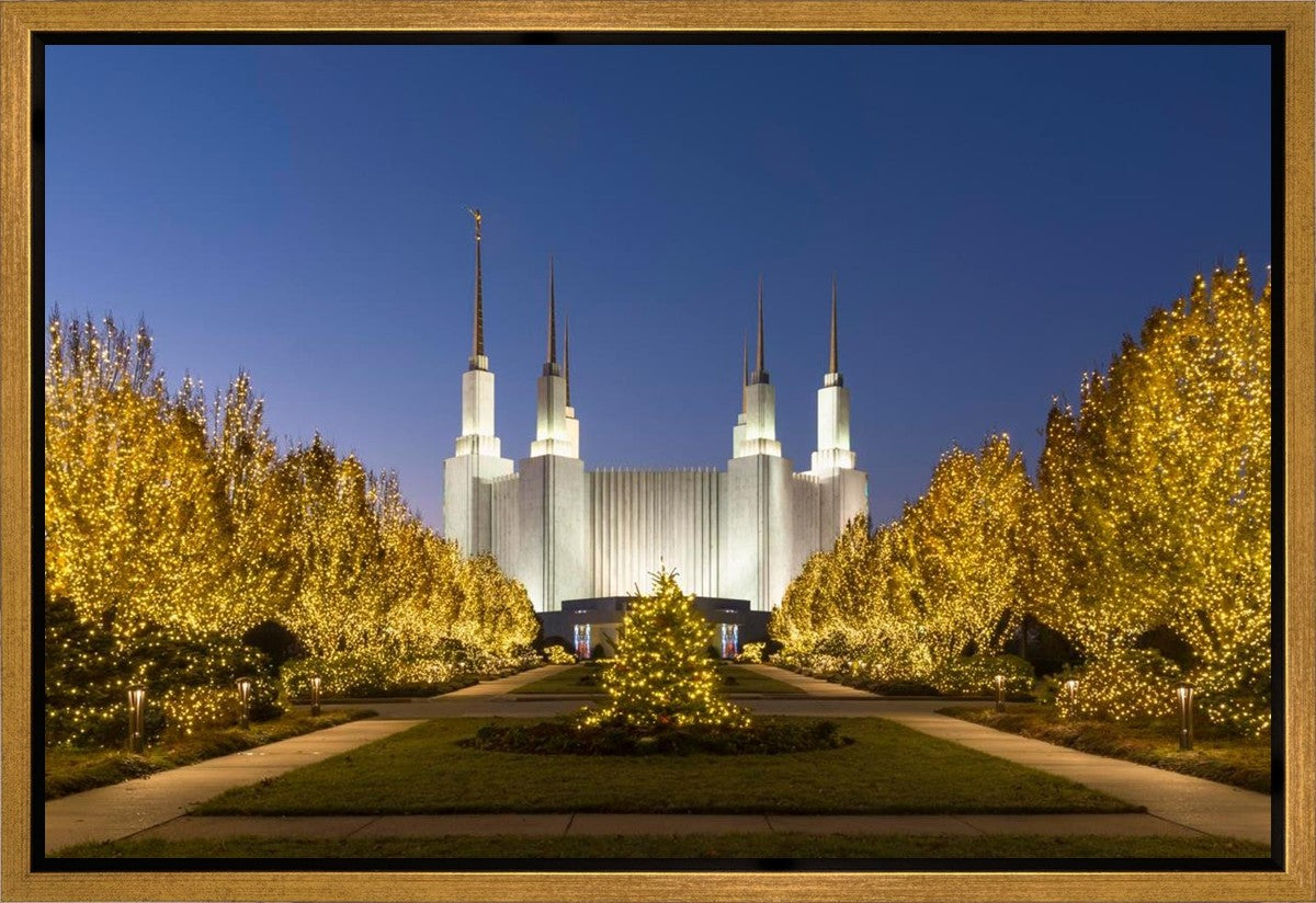 Washington DC Golden Christmas Gallery Wrap