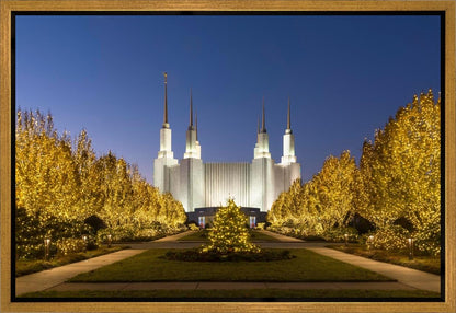 Washington DC Golden Christmas