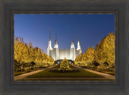 Washington DC Golden Christmas