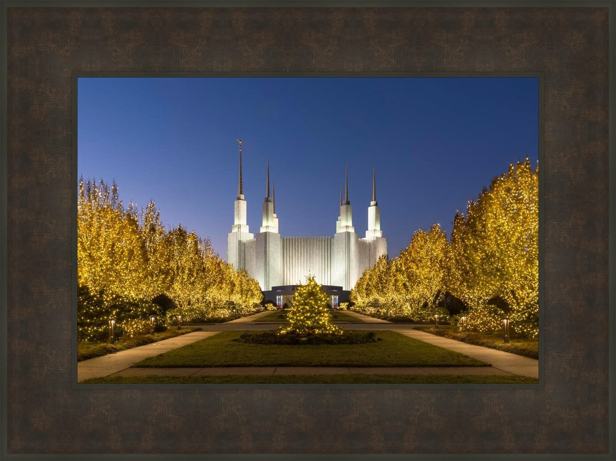 Washington DC Golden Christmas