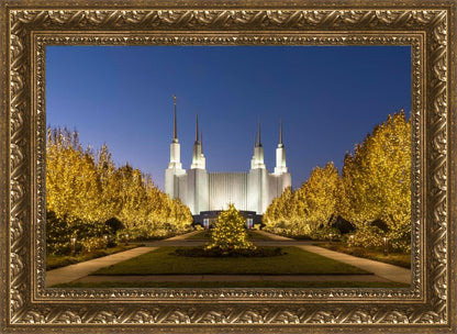 Washington DC Golden Christmas