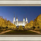Washington DC Golden Christmas