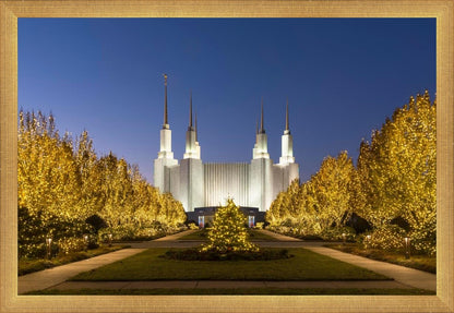 Washington DC Golden Christmas